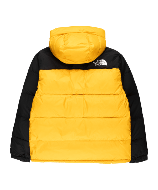 The North Face Hmlyn Down Parka Gelb - gelb
