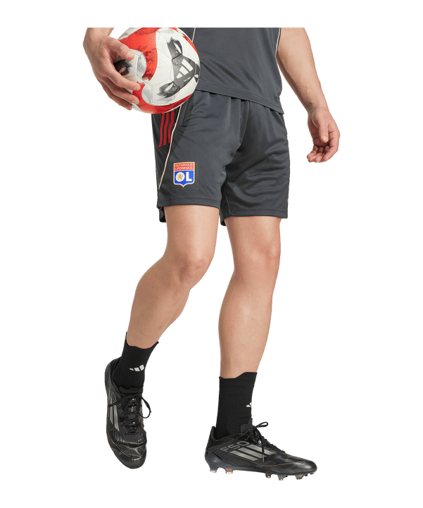 adidas Olympique Lyon Training Short Grau - grau