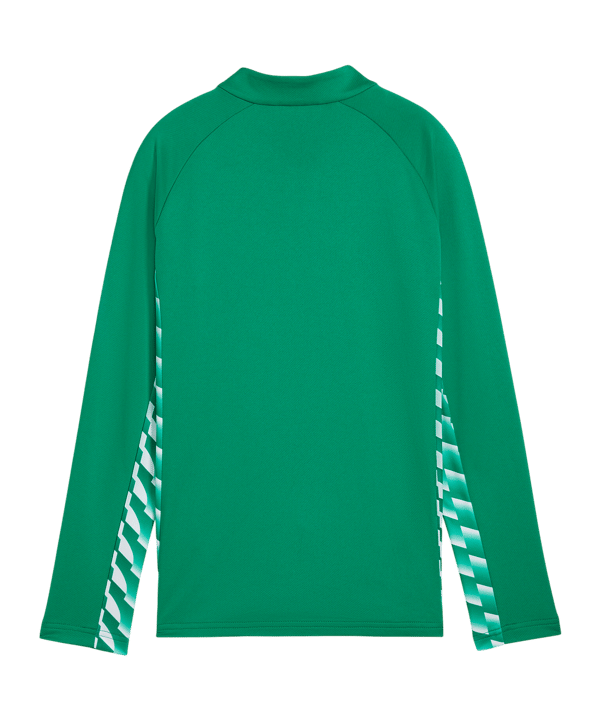 PUMA teamLIGA26 Trainingsjacke Kids Grün F05 - gruen