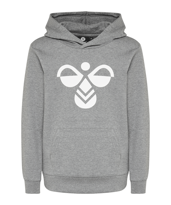 Hummel Cuatro Hoody Kids Grau F2800 - grau