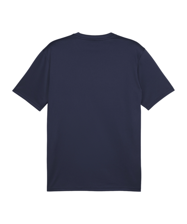 PUMA teamGOAL Trikot Blau F06 - dunkelblau
