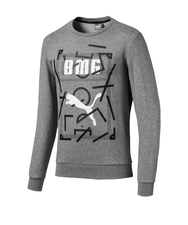 PUMA Borussia Mönchengladbach DNA Sweater F15 - grau
