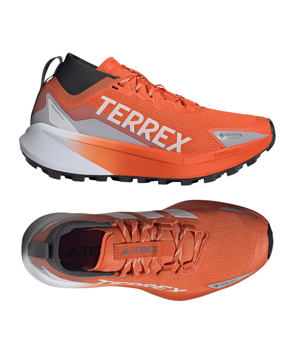 adidas Dames Terrex Agravic GTX Loopschoen Wit - wit