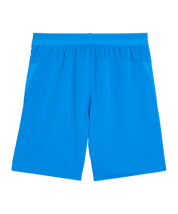 PUMA teamCup Short Blau F02 - blau