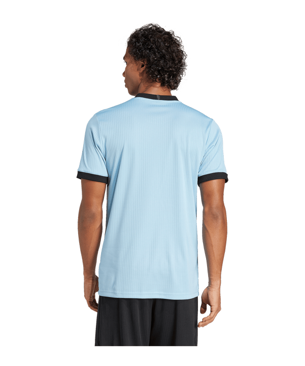adidas DFB Deutschland 125th Anniversary Torwarttrikot Blau - blau