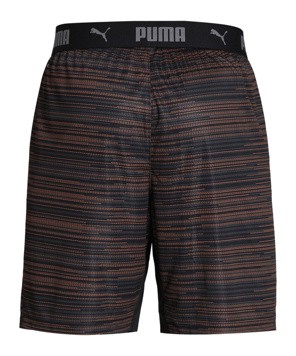 PUMA ftblNXT Graphic Short Schwarz F01 - schwarz