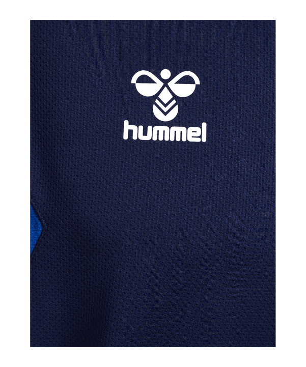 Hummel AUTHENTIC PL Hoody Blau F7026 - blau