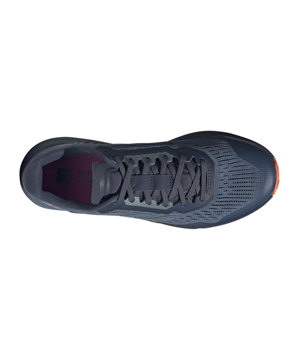 adidas Terrex Agravic Flow 2 Running Damen Blau - blau