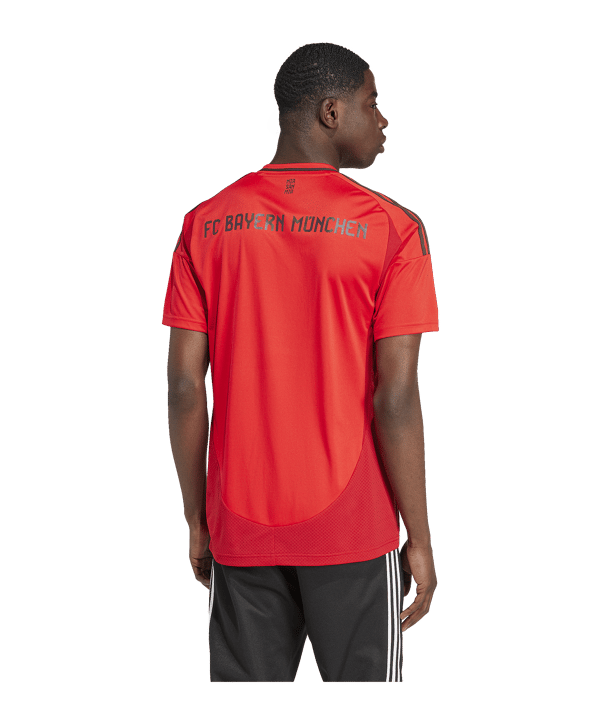 adidas FC Bayern München Trikot Home 2024/2025 Rot - rot