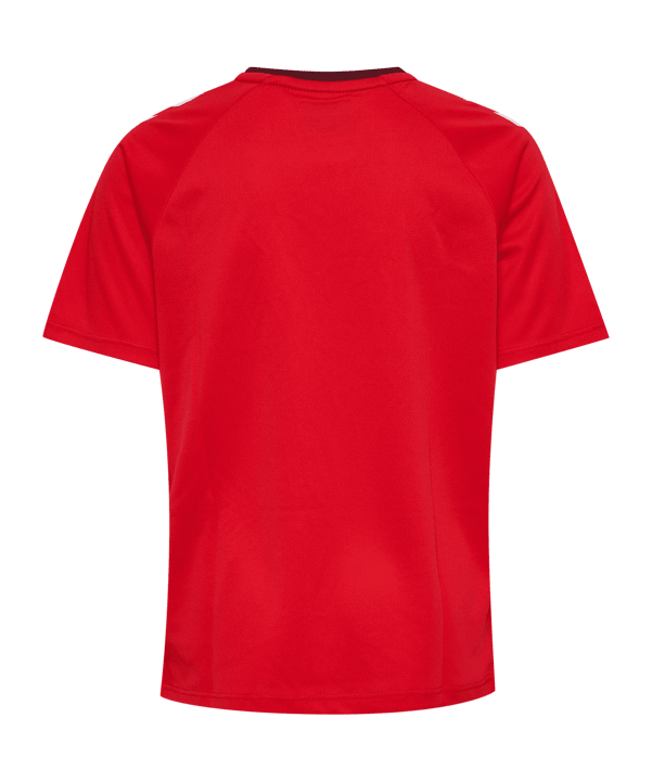 Hummel Match Triumph Trikot Kids Rot F3826 - rot