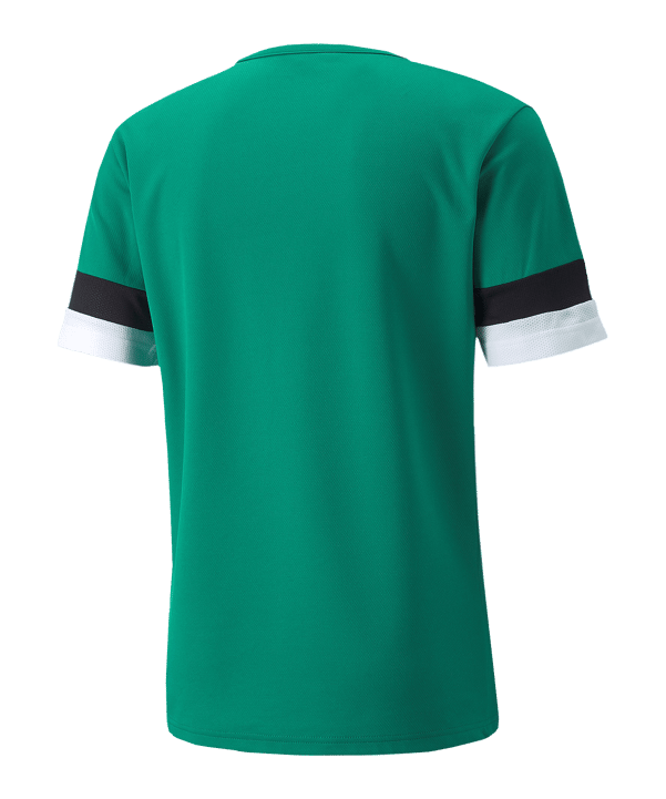 PUMA teamRISE Trikot Grün F05 - gruen