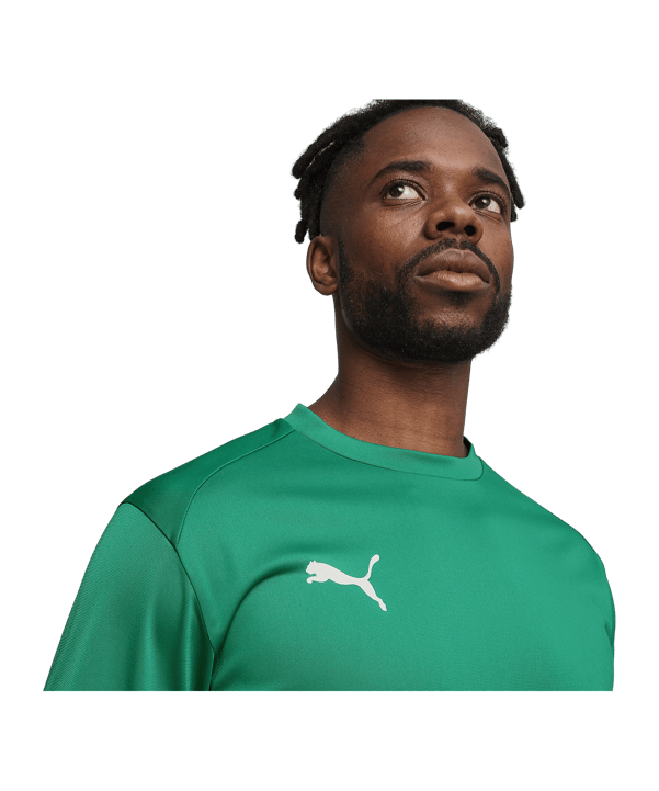 PUMA teamGOAL Training Sweatshirt Grün F05 - gruen
