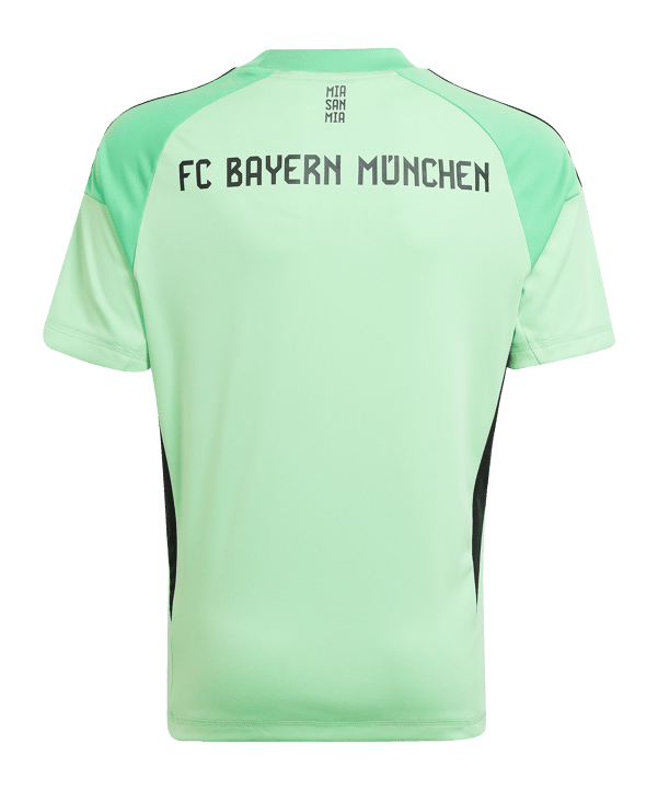 adidas FC Bayern München Torwarttrikot 2025/2026 Kids Grün - gruen
