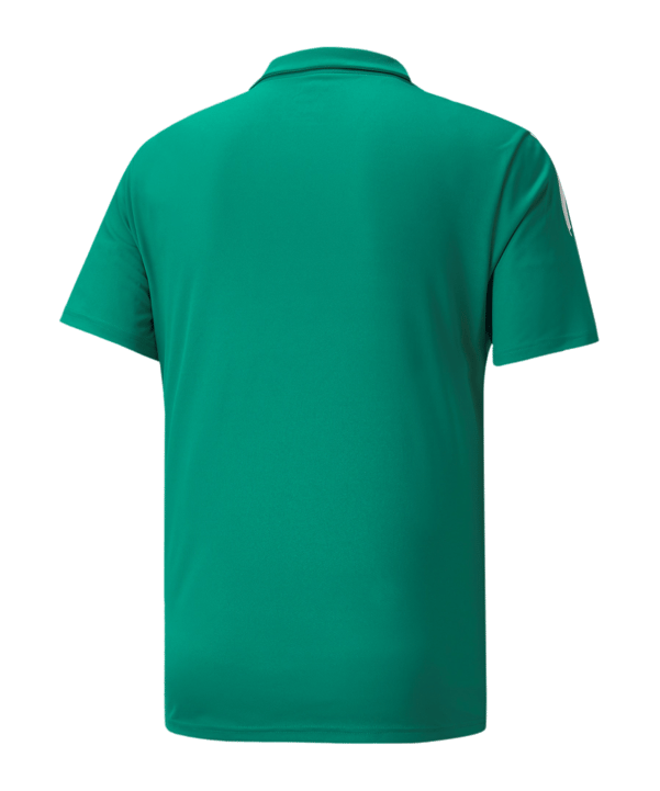 PUMA teamLIGA Sideline Polo Grün Weiss F05 - gruen
