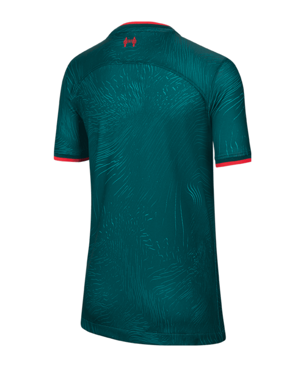 Nike FC Liverpool Trikot UCL 2022/2023 Kids Grün F377 - gruen