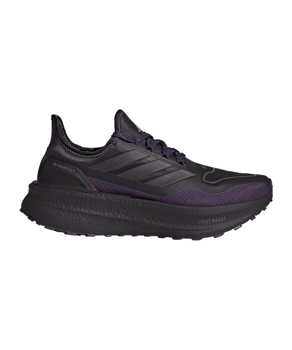 adidas Donna Ultra Boost Gtx Scarpe da running Viola - lilla