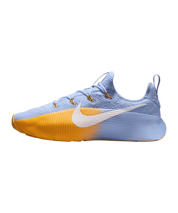 Nike LeBron TR 1 Grau F401 - blau