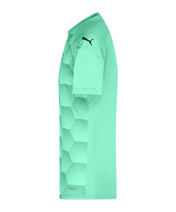 PUMA teamFINAL 21 Graphic Trikot kurzarm Grün F21 - gruen