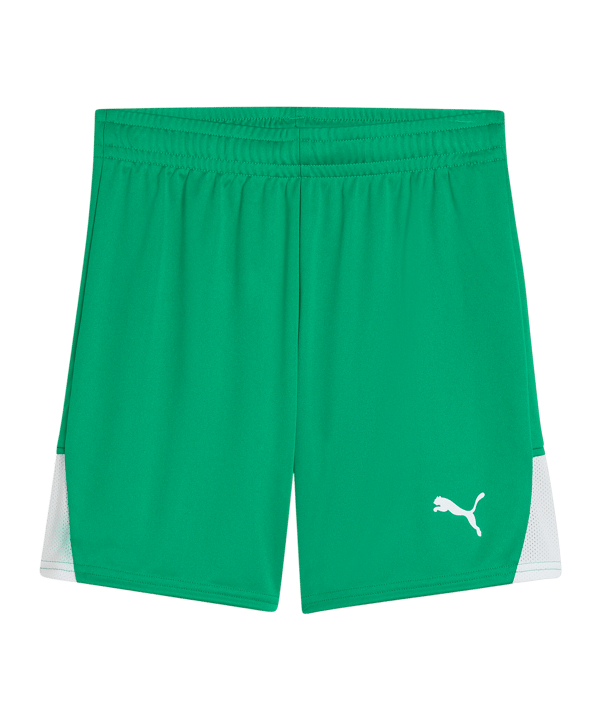 PUMA teamLIGA26 Short Kids Grün F05 - gruen