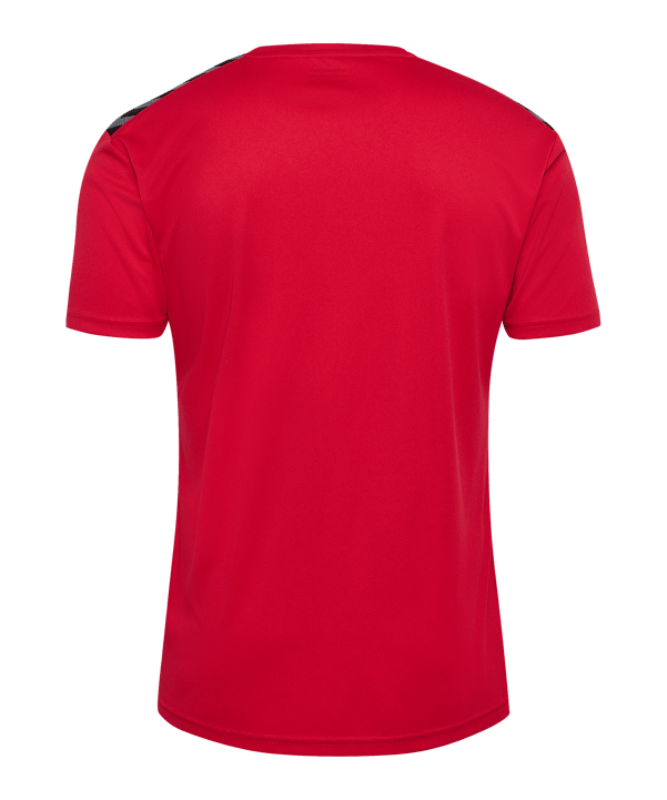 Hummel hmlAUTHENTIC PL Trikot Rot F3062 - rot