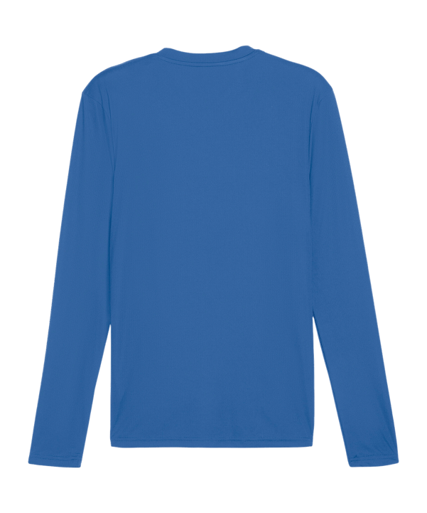 PUMA TeamGOAL Baselayer Longsleeve Blau F02 - blau