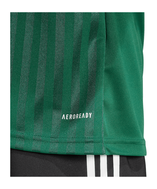 adidas Campeon 25 Trikot Grün - gruen