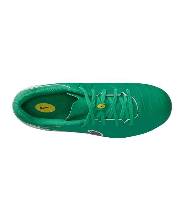 Nike Legend 10 Academy LV8 FG/MG Fear Nothing Kids Grün F300 - gruen