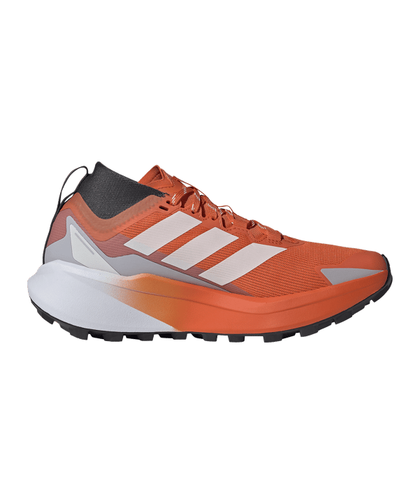 adidas Dames Terrex Agravic GTX Loopschoen Wit - wit