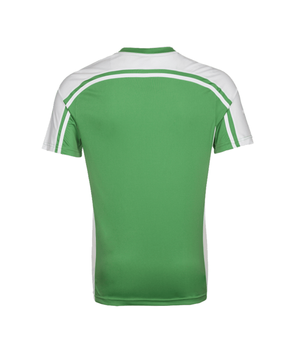 11teamsports Clásico Trikot Grün Weiss F30 - gruen