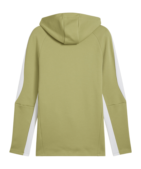 PUMA teamEvostripe Hoody Grün F40 - gruen