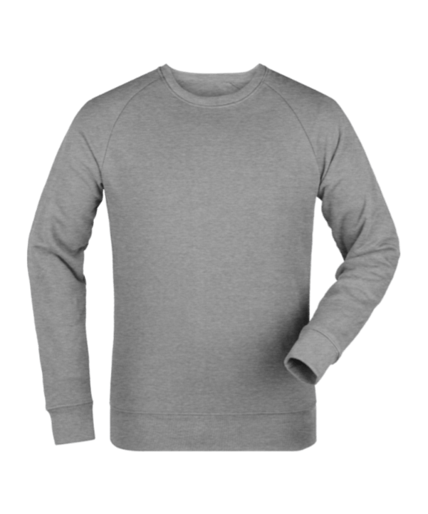 Merch Roller Sweatshirt Heather Grey FC250 - grau
