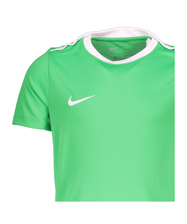 Nike Academy Pro 24 Trainingsshirt Kids Grün F329 - gruen