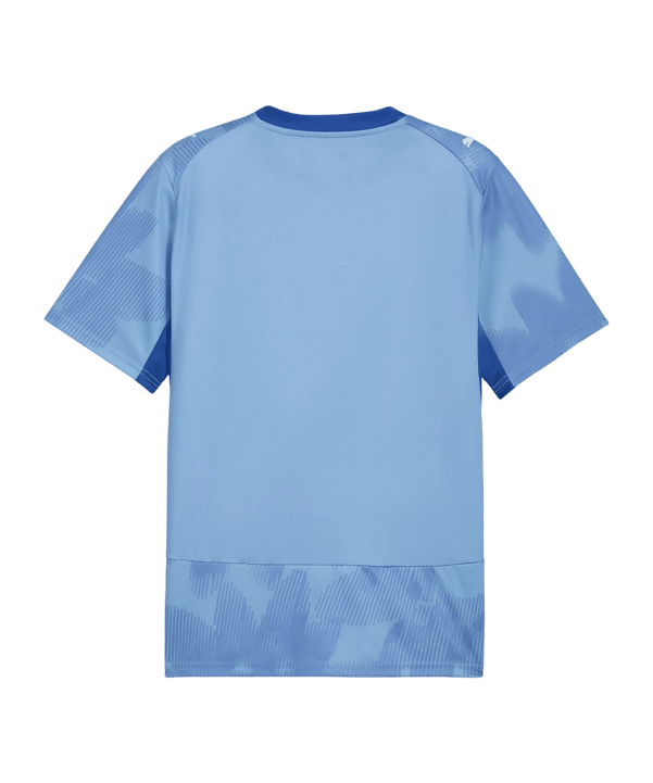 PUMA ÖFB Österreich X Salehe Bembury Torwarttrikot Blau F83