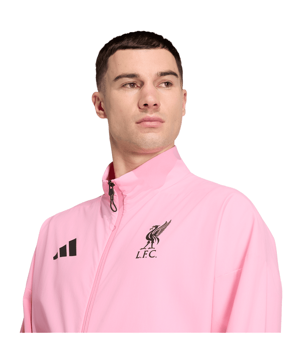 adidas FC Liverpool Anthem Jacke Rosa - rosa