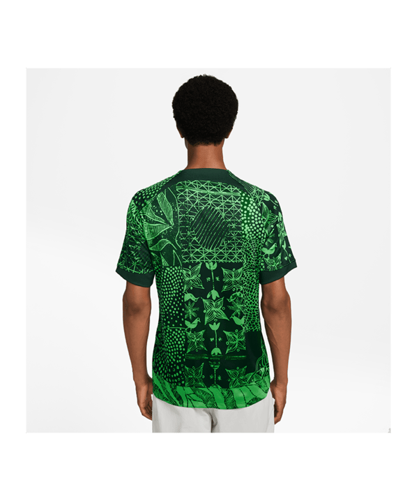 Nike Nigeria Trikot Home 2022 Grün F329 - gruen