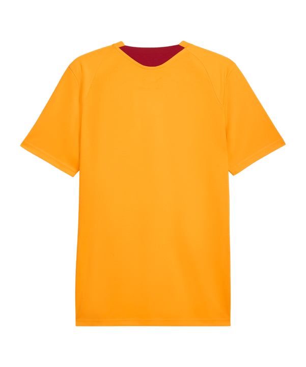 PUMA Galatasaray Istanbul Training Maillot Orange C07 - orange