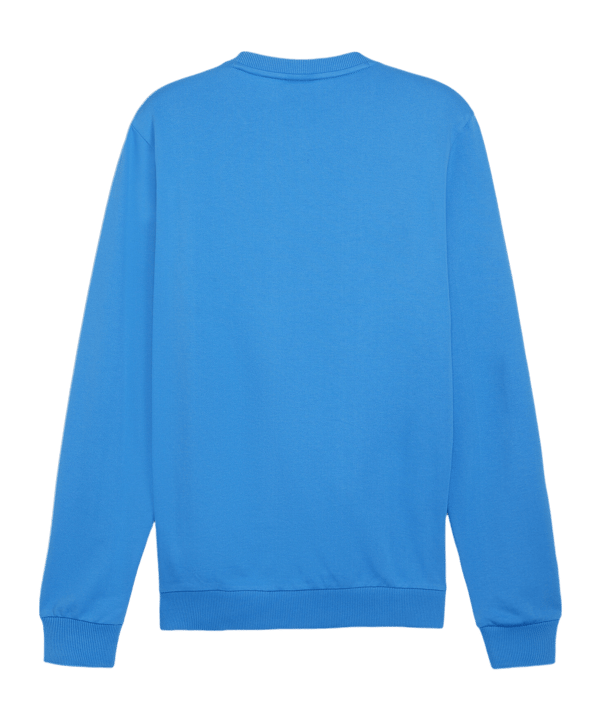 PUMA teamGOAL Casuals Sweatshirt Blau F02 - blau