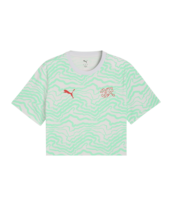 PUMA SFV Schweiz FtblCulture T-Shirt Grün F19 - gruen