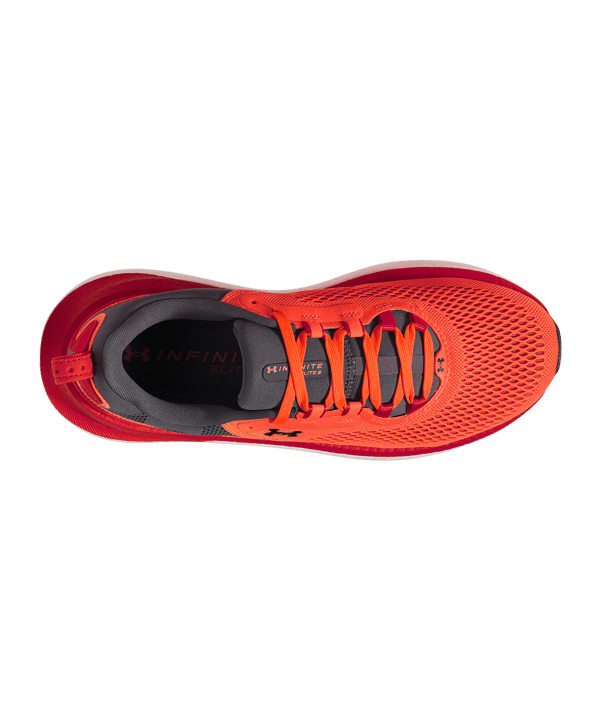 Under Armour Infinite Elite 2 Laufschuh Infinite Elite 2 Rot F862 - rot