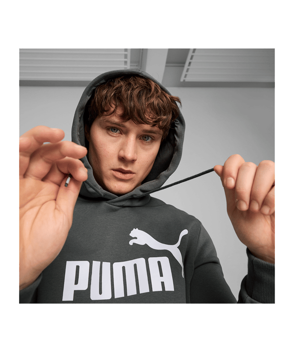 PUMA Essentials Big Logo Hoody Grau F069 - grau