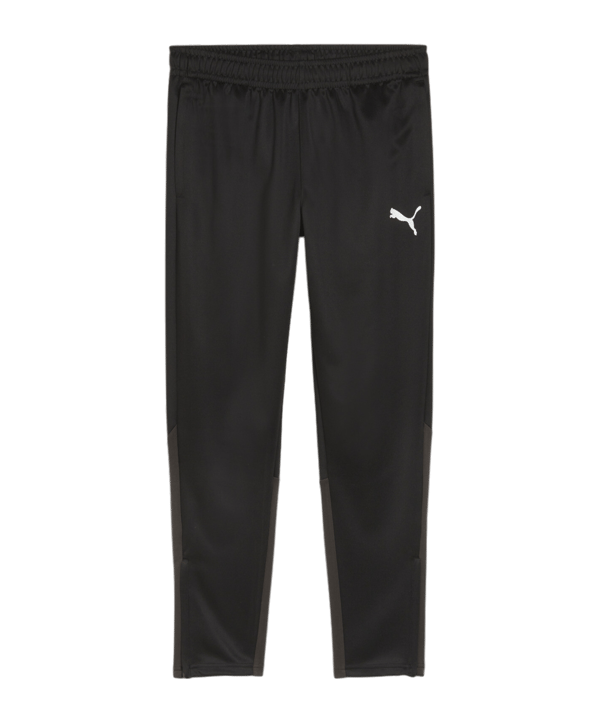 PUMA teamGOAL Training Jogginghose Schwarz F03 - schwarz