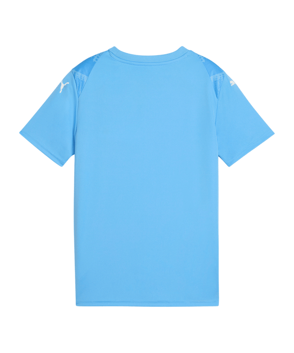 PUMA teamULTIMATE Trikot Kids Blau F18 - blau