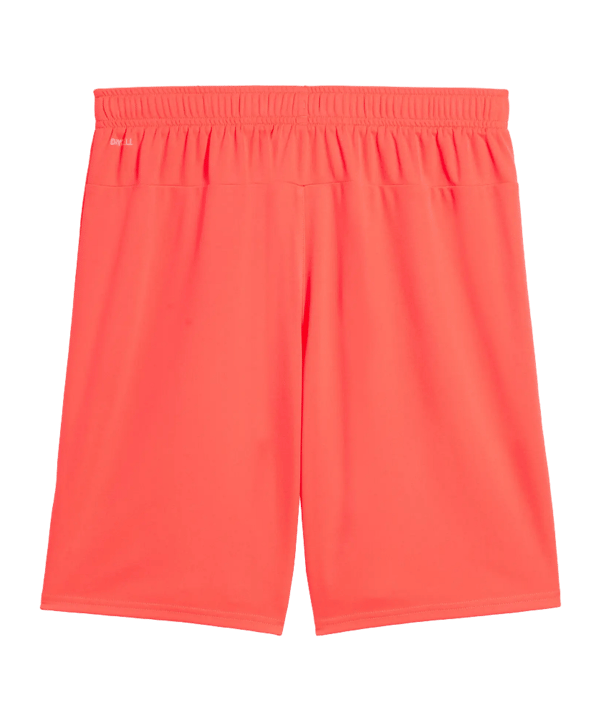 PUMA TeamGOAL Court Rouge C42 - rouge