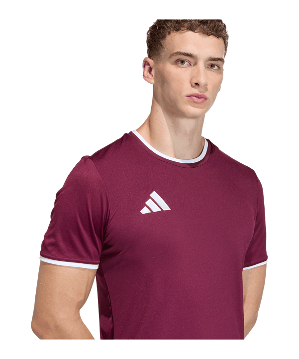 adidas Entrada 26 Trikot Rot - rot