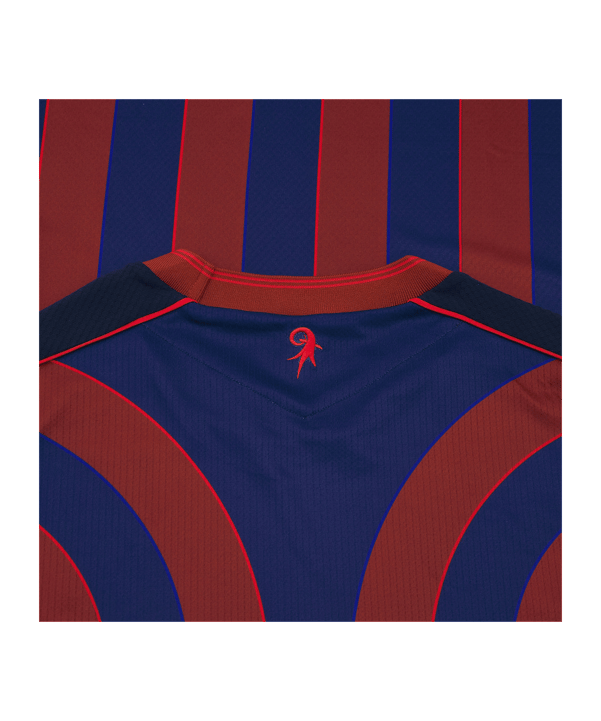 Macron FC Basel Trikot Home 2025/2026 Blau - blau