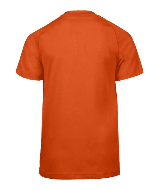 Nike Park VIII Trikot Kids Orange F819 - orange