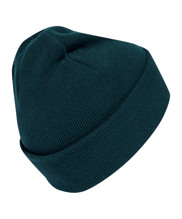 adidas Originals Adicolor Classic Beanie Grün - gruen