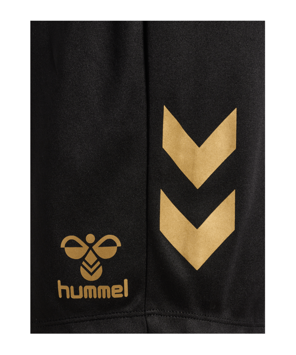 Hummel hmlE24C Poly Short Schwarz F2128 - schwarz