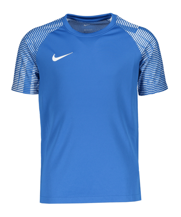 Nike Academy Trikot Kids Blau F463 - blau
