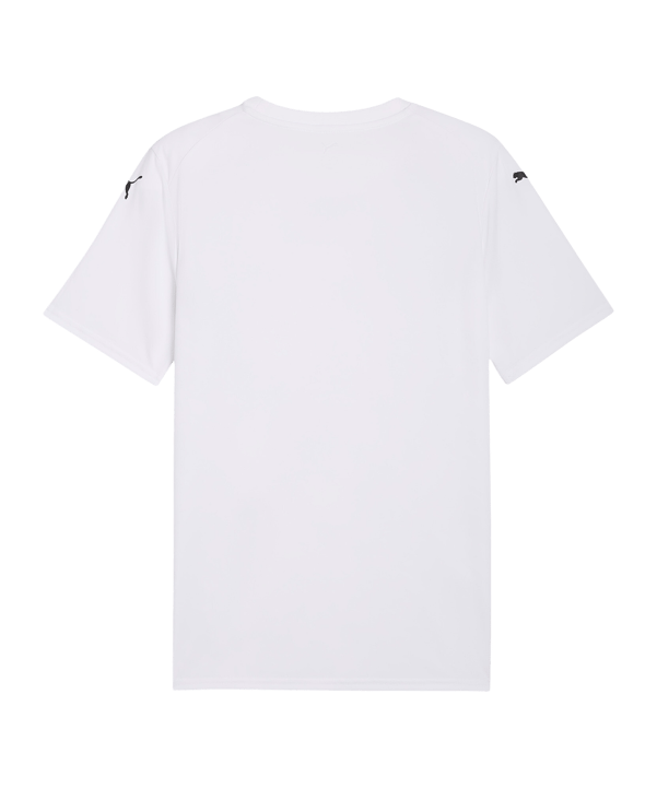 PUMA teamFINAL Graphic Trikot Weiß F04 - weiss